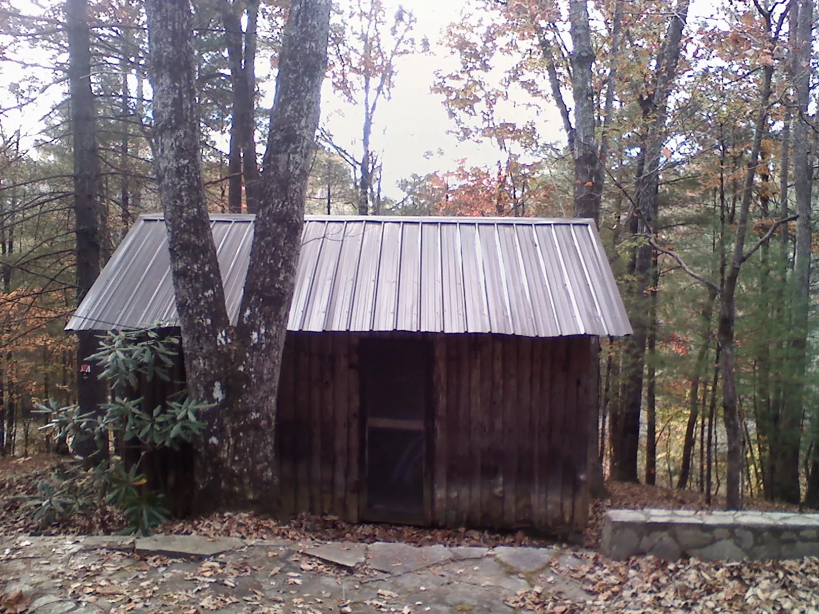 New metal gable roof on a small log shed among the trees in Black Hawk